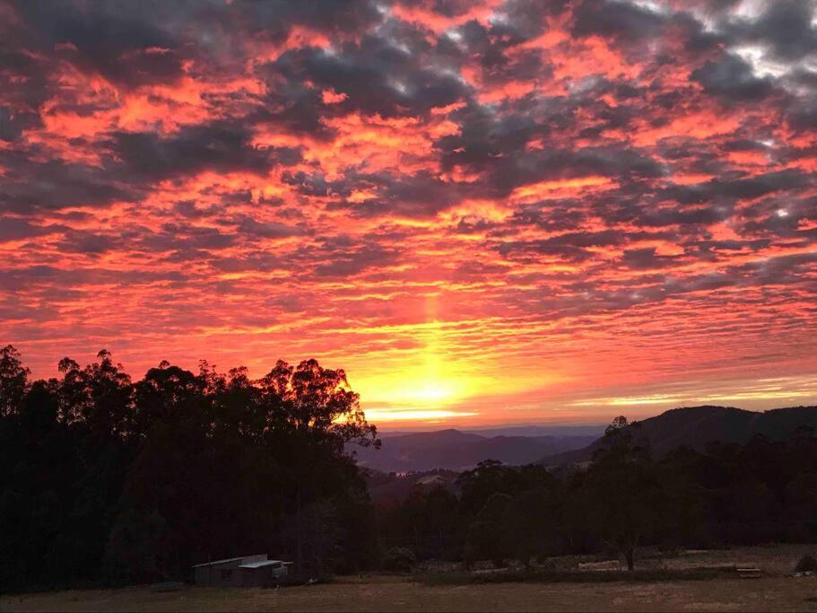 Amaroo With A View Set On A 50 Acre Hobby Farm Apartment Collinsvale Exterior photo