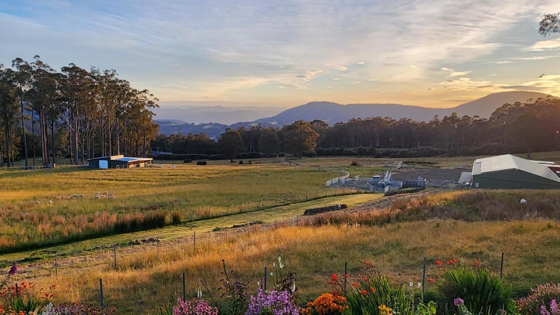 Amaroo With A View Set On A 50 Acre Hobby Farm Apartment Collinsvale Exterior photo